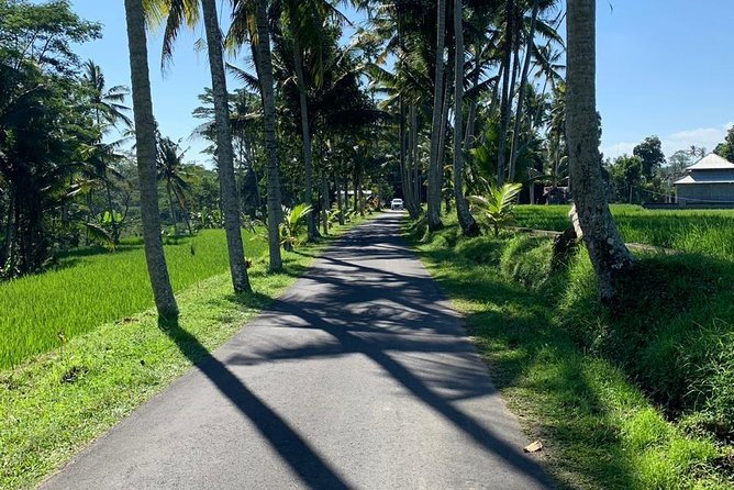 Individual Bali Day Trip with Private Driver and Free WiFi - Jimbaran Bay sunsets and grilled seafood that fits the schedule