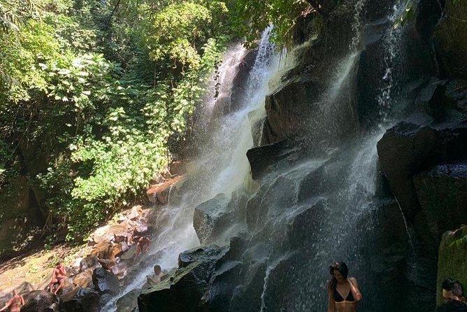 Individual Bali Day Trip with Private Driver and Free WiFi - Ubud culture loop: art market, monkeys, terraces, and ritual water