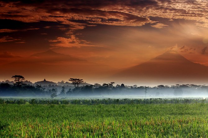 Indonesia Escape (Yogyakarta) - Hotel-to-Hotel Freedom in Yogyakarta, Without the Group Shuffle