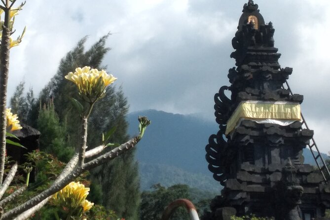 Jakarta Bogor Botanical Garden, Waterfall and Rice terrace, Lunch - A cool Bogor escape with a tight, useful itinerary