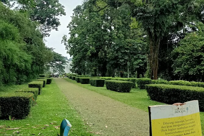 Jakarta Bogor Botanical Garden, Waterfall and Rice terrace, Lunch - Kebun Raya Bogor: 1817 botanical garden, 84 hectares of shaded walking