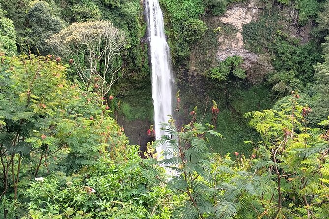 Jakarta Bogor Botanical Garden, Waterfall and Rice terrace, Lunch - Pickup and getting there without losing half your day to traffic