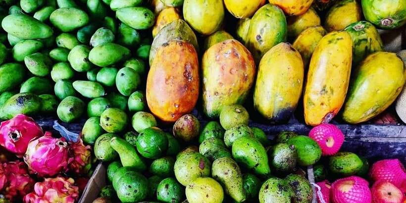 Jakarta: Volcano, Tea/Rice Fields, Hot Spring, Local Food - Who this tour fits best