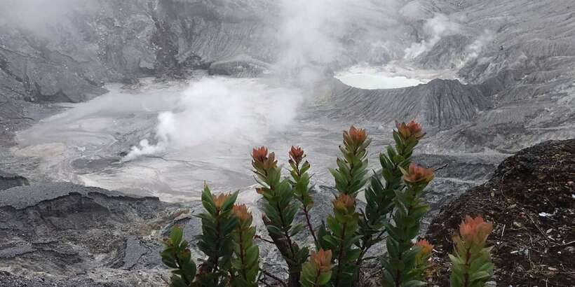Jakarta: Volcano, Tea/Rice Fields, Hot Spring, Local Food - Jakarta to the mountains, why the early start matters