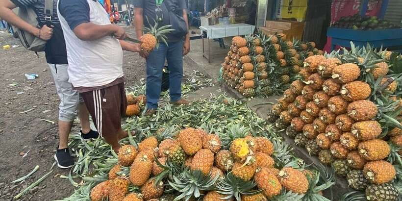Jakarta: Volcano, Tea/Rice Fields, Hot Spring, Local Food - Price and value: what $114 buys you in real time