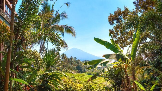 Jatiluwih Batukaru Mountain Nature's Best Tour - Key highlights at a glance