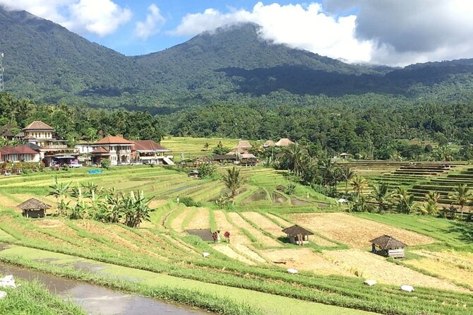 Jatiluwih Batukaru Mountain Nature's Best Tour - Pura Luhur Batukaru Temple: Quiet Power in the Forest