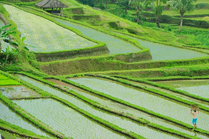 Jatiluwih Batukaru Mountain Nature's Best Tour - The Temptation of Side Stops: Coffee, Spices, and Craft Shops