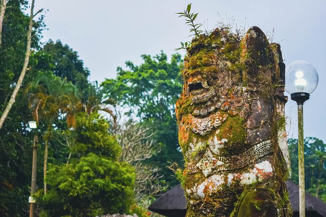 Jatiluwih Batukaru Mountain Nature's Best Tour - Timing, Comfort, and the Restaurant Break