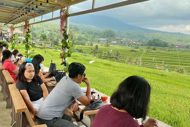 Jatiluwih Spiritual Journey of Melukat with Rice Terrace View - Monkey forest stops: fun wildlife viewing, with real-world caution