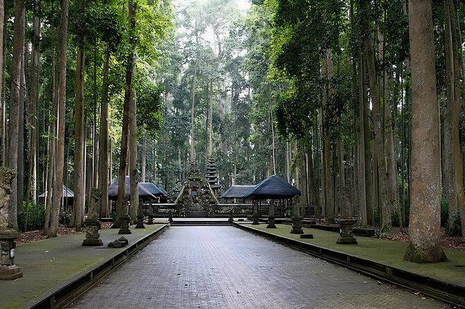 Jatiluwih Spiritual Journey of Melukat with Rice Terrace View - Baturiti coffee tester: a short break that adds flavor