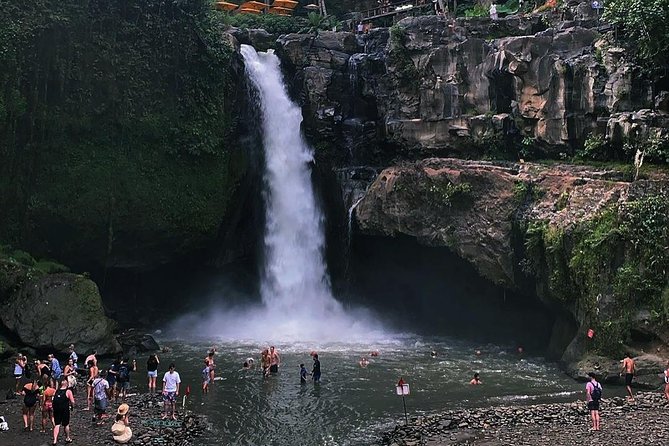 Jungle Swing - Volcano - Water Temple - Monkey Forest and Waterfall Tour - The private route that keeps your day moving (start at 8:30 am)