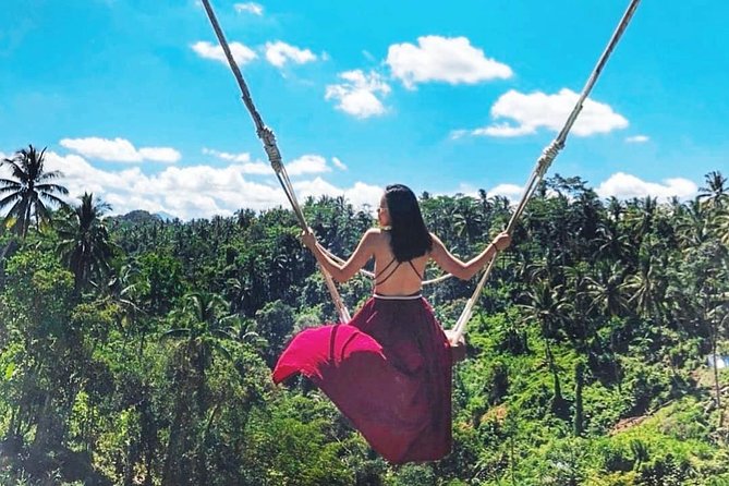 Jungle Swing - Volcano - Water Temple - Monkey Forest and Waterfall Tour - Price and what your $37 actually needs on top