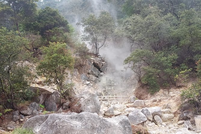 Kawah Putih tour - Day trip Ticket etc all including - Stop 1 in Ciwidey: rice terraces, village life, and the coffee break