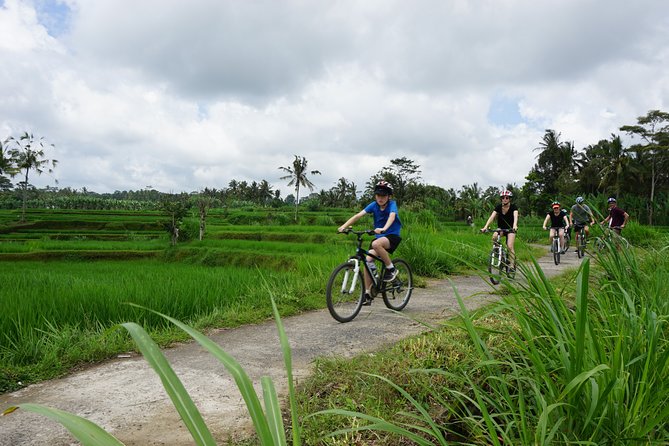Kintamani Cultural and Nature Cycling Tour ( Manual Bike ) - Key highlights to know before you go