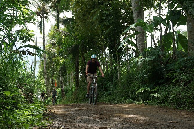 Kintamani Cultural and Nature Cycling Tour ( Manual Bike ) - Why this Ubud to Kintamani ride feels like the right kind of day