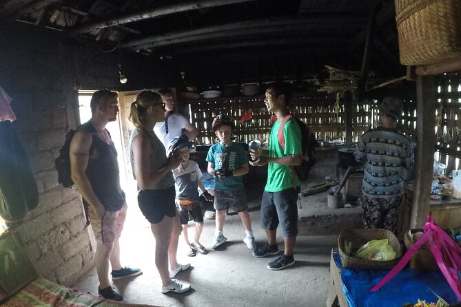 Kintamani Cultural and Nature Cycling Tour ( Manual Bike ) - What $33 really buys you: transport, stops, and meals