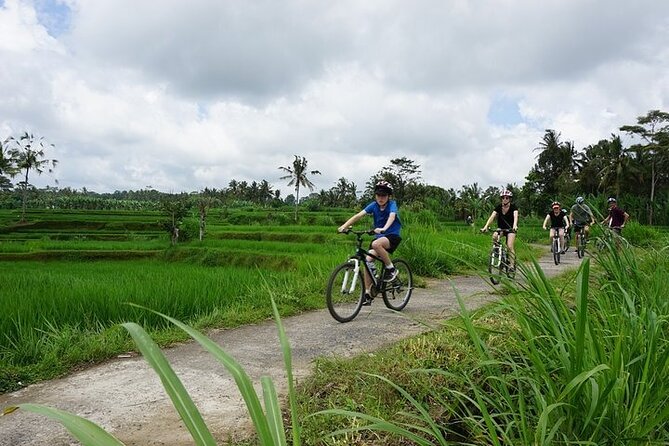 Kintamani Cultural and Nature Cycling Tour ( Manual Bike ) - The day, stop by stop: what you’ll see and why each stop matters