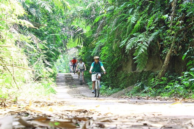 Kintamani Cultural and Nature Cycling Tour ( Manual Bike ) - What to wear and bring: my practical packing checklist