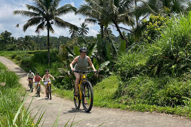 Kintamani Down Hill Cycling - Key highlights you will care about