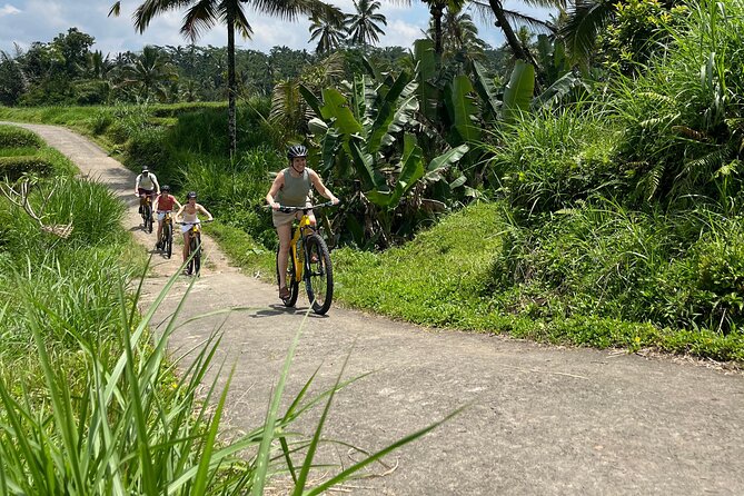 Kintamani Down Hill Cycling - Bikes, helmets, and the guide factor (Niko and Eka)