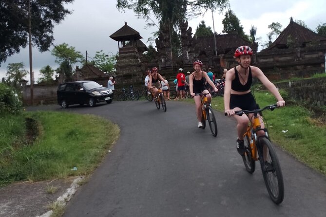 Kintamani Down Hill Cycling - The downhill ride: easier effort, big Ubud area views
