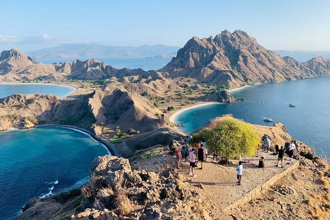 Komodo Islands with Speedboat in Labuhan Bajo - Price and Value: Is $125 Worth It?