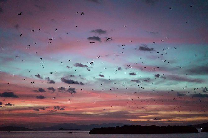 Komodo Private Boat tour 3Days 2 Night - Day 2: Padar Trek and Komodo Island Wildlife Time