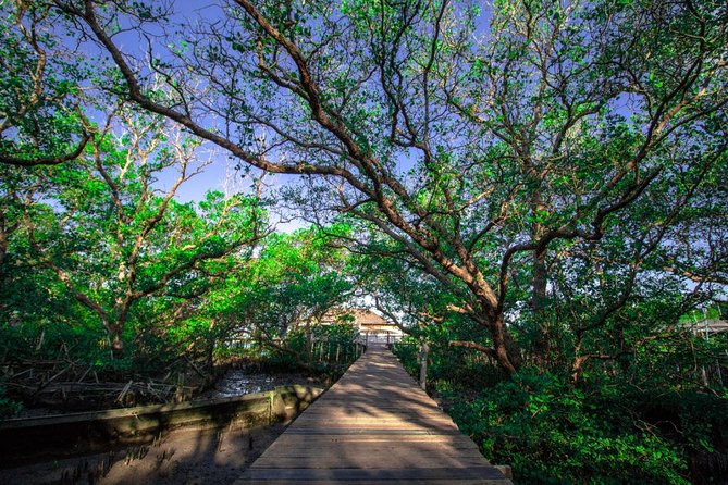 Kuta Beach eBike Private Tour - Transfers, meeting point, and how to reduce stress
