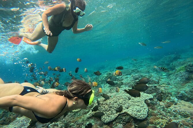 Lembongan Snorkeling at Manta Bay, Crystal Bay and Mangrove - Manta Bay first, then Manta Point if they are being shy