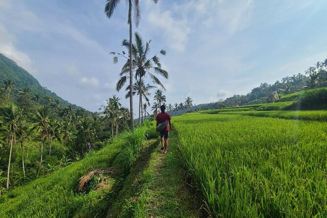 Lemukih Hidden Trekking Waterslide Sekumpul and Fiji Waterfall - What Safety Actually Means Here (Helmet, Water Shoes, and a Specialist Guide)