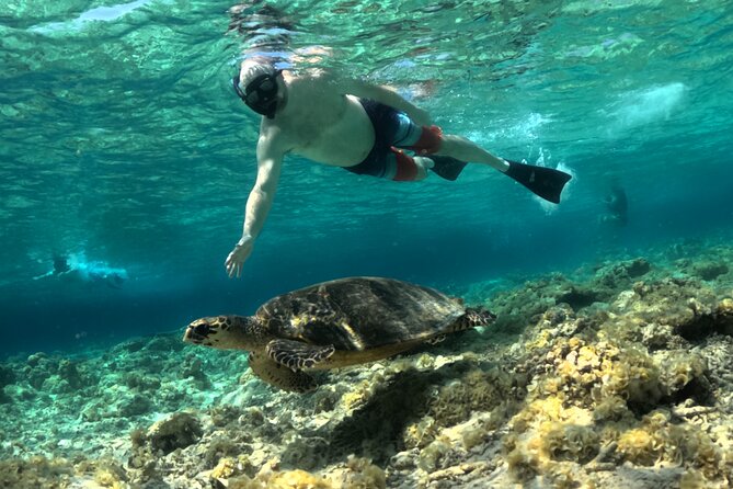 Lombok Driver Customizable Tour Private - Waterfalls like Benang Stokel and Benang Kelambu