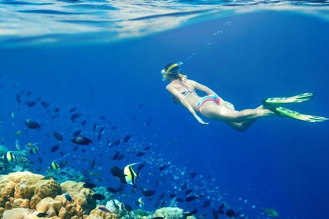 Lombok Pink Beach Boat Trip (Full Day + Snorkeling) - Snorkeling on this trip: gear is included, comfort is coached