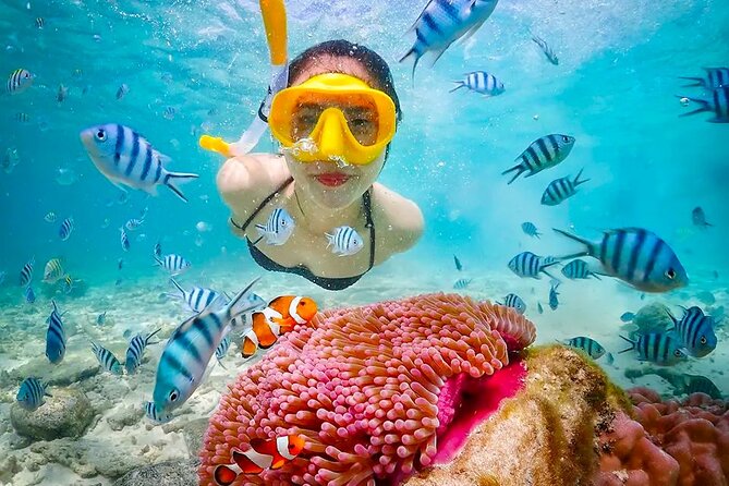 Lombok Pink Beach Boat Trip (Full Day + Snorkeling) - Pantai Segui: a calmer finish with clear turquoise water