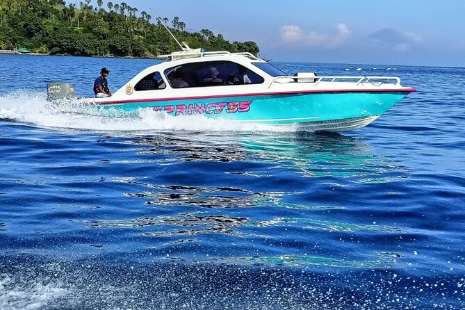 Lombok: Private Airport Lombok Transfers to or from Gili Islands - Key Highlights You’ll Care About