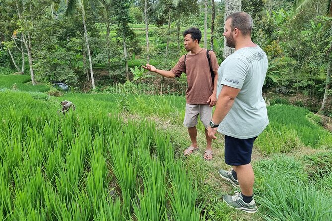 Lombok Private Customize Tour - A 8 to 10 hour menu: beaches, waterfalls, villages, markets, and temples