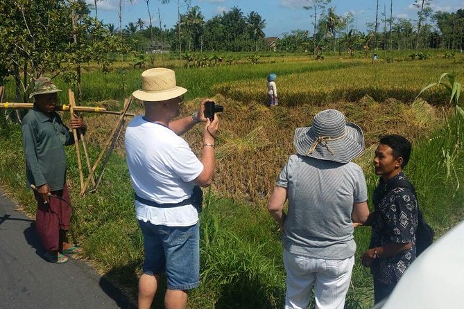 Lombok Private Sasak Tour (Culture & Beaches) - Price and logistics: what $79 covers on this private day