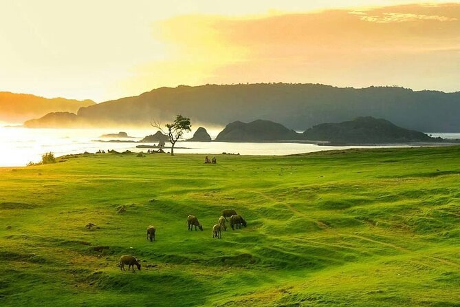 Lombok Tour For Cruise Passangers - Kuta Beach and the Lombok coastline break
