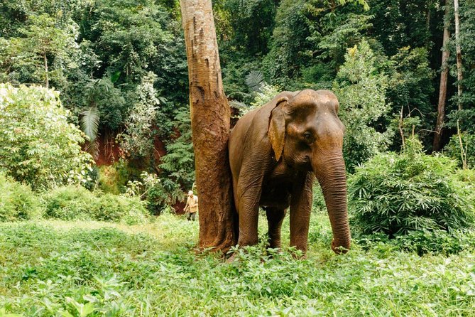 Lombok Wildlife Park Ticket - Lombok Wildlife Park at a Glance