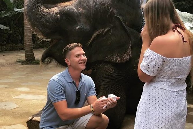 Lombok Wildlife Park Ticket - Timing, Meeting Point, and How the Half-Day Flows