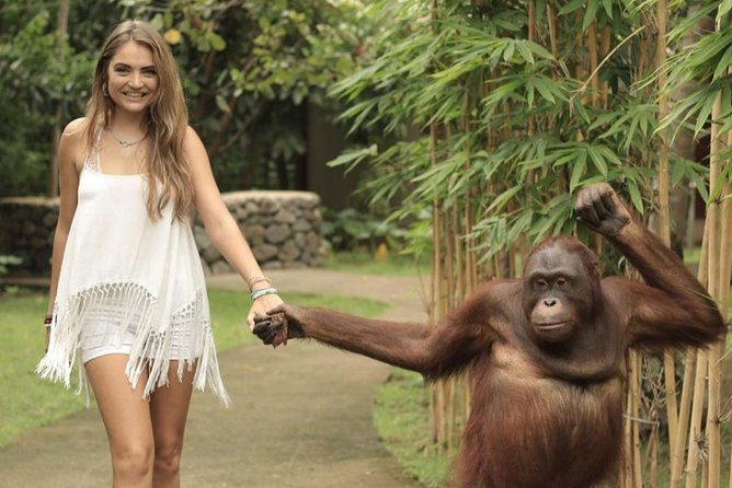Lombok Wildlife Park Ticket - Stop at Lombok Wildlife Park: What the Rainforest-Style Setting Changes
