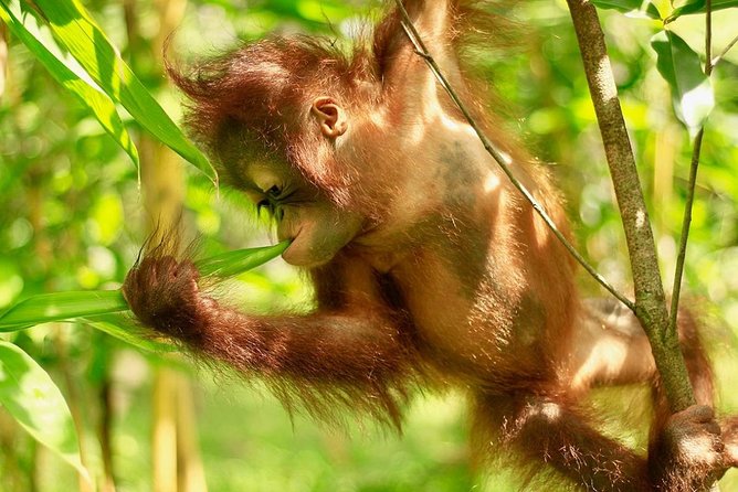 Lombok Wildlife Park Ticket - Practical Tips That Keep the Day Smooth