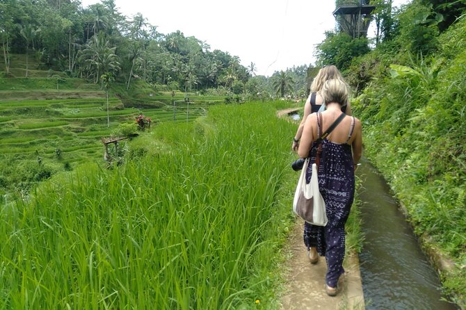 Magic Of Ubud Temple Swing And Waterfall Private Guided Tour - Ulu Petanu Waterfall and Petanu River: One Hour of Green Air