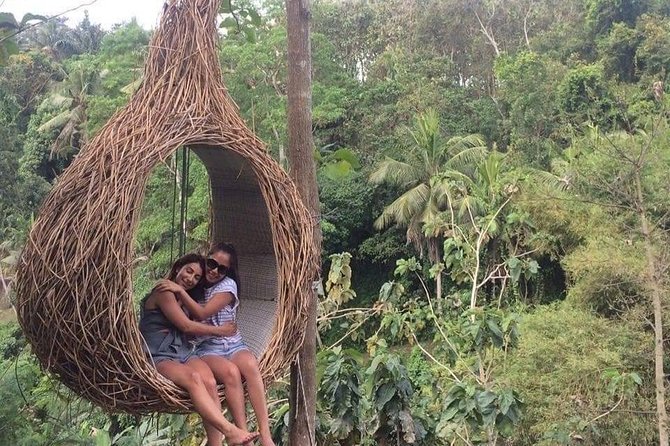 Magic Of Ubud Temple Swing And Waterfall Private Guided Tour - Tampaksiring Tea Stop: A Calm Village Break Before Tirta Empul