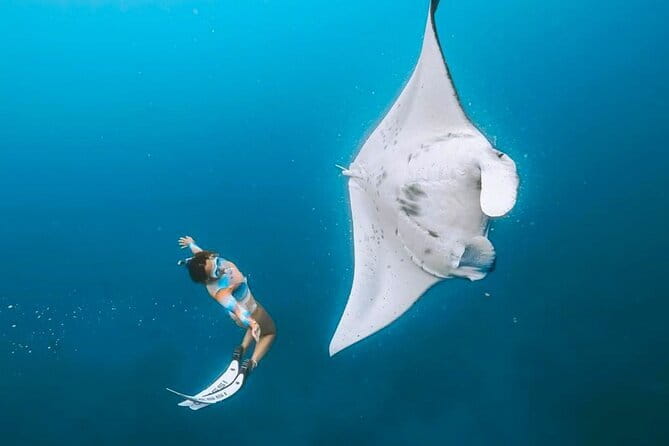 Manta Point Snorkeling & West Nusa Penida Island Day Tour - Key things I’d circle on your map