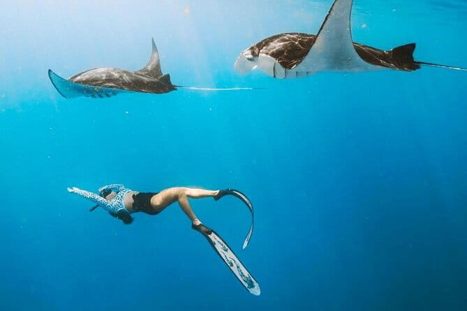 Manta Point Snorkeling & West Nusa Penida Island Day Tour - Manta Point first, because that’s where the day wins