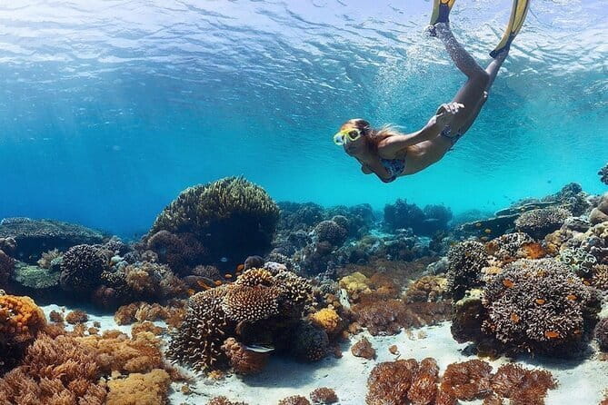 Manta Point Snorkeling & West Nusa Penida Island Day Tour - Stop-by-stop: what you’ll do at Manta Point and Gamat Bay