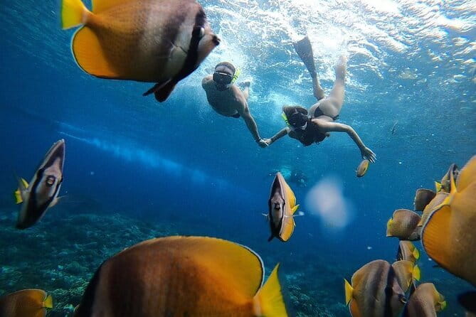 Manta Point Snorkeling & West Nusa Penida Island Day Tour - The West Nusa Penida photo circuit: Kelingking, Angel’s Billabong, Broken Beach