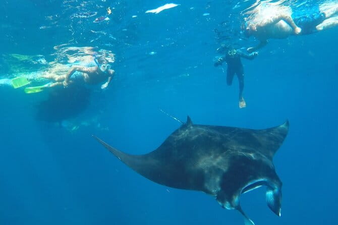 Manta Point Snorkeling & West Nusa Penida Island Day Tour - Guides make or break the vibe, and this tour has strong ones