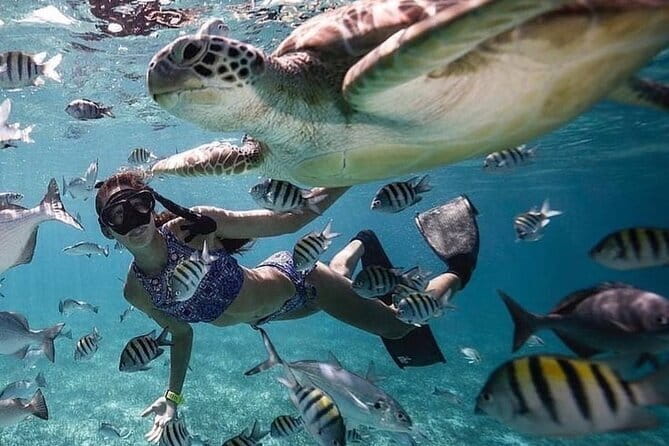 Manta Point Snorkeling & West Nusa Penida Island Day Tour - Price and value: is $45.87 a fair deal for what you get?